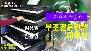 김용임.부초같은인생.내장산/전자올겐 .검은나비/디스코 경음악.트롯.트로트.음악영상제작.