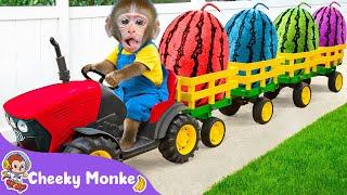 Choo Choo, Toy Train Song | Harvest Rainbow Watermelon | Cheeky Monkey - Nursery Rhymes & Kids Songs