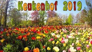 KEUKENHOF 2019. Full HD. Keukenhof is the Garden of Europe.