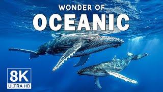 Wonders of Oceanic - Beautiful Marine Life for Stress Relief - Travel Video 4K