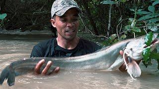 48h Săn Lùng Thủy Qoái Giữa Dòng Lũ Dữ || live in the big fishing forest . harsh survival