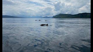 Isle of Skye Seafari Experience July 2021