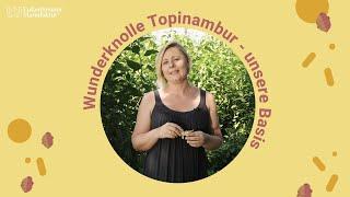 Wunderknolle Topinambur - Basis unserer Gesundheitsprodukte #probiotics