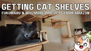 Getting Cat Shelves from Amazon!  Miuzmore, Fukumaru climbing wall activity mounting furniture #cats