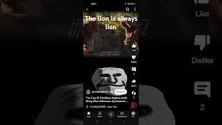 the lion King #acn