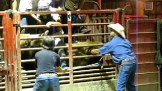 Circle K Rodeo Bull Riding, Zach Honeycutt - September 23, 2010 (Practice)