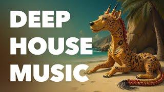  Mysterious Dreamy Deep House [No Copyright Music] | Decadence by tubebackr