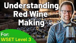 Understanding Red Wine Making for WSET Level 3