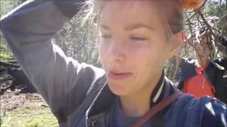 Bathurst & Hogsback | South Africa #7 | Vlog