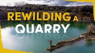 We are rewilding a quarry - here’s why