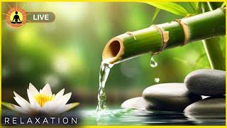  Relaxing Zen Music 24/7, Stress Relief Music, Sleep Music, Meditation Music, Study, Calming Music