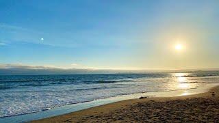 Surf Fishing In Santa Cruz!