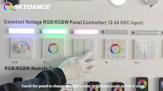 SKYDANCE RGB/RGBW touch panel controller for led light strip