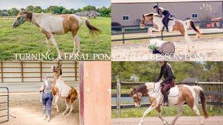 TURNING A FERAL PONY INTO A LESSON PONY: GERONIMO’S STORY