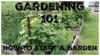 Gardening 101:  How To Start A Garden