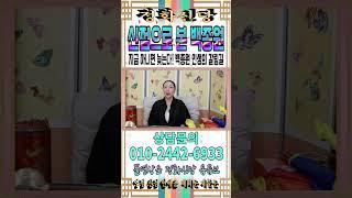 신점으로 본 백종원의 미래는? 백종원 인생의 갈림길! 나락? or 부활? [강남유명한점집] [정화신당] [영점 신점] #백종원 #미래 #더본코리아