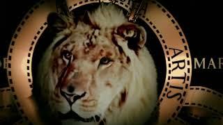 Metro Goldwyn Mayer (2012/1987 w/Trans World Entertainment theme)