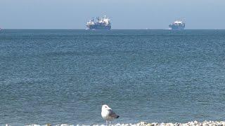 Shipspotting in Port of Le Havre | 04.10.2016 | 4K