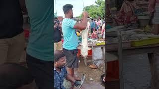 big fresh shark || Cuddalore fish market