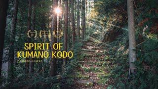 6 Day Solo Hike on Japans Camino de Santiago: KUMANO KODO 4K