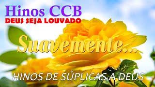 HINOS CCB LINDOS - 61-163-390-267-15-275-201-415-12-300-280-187-261-294-308-177-399-341