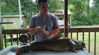 How to Fillet a Huge Catfish with an Electric Knife. (Flathead)