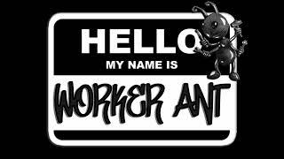 Worker Ant