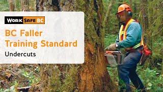 BC Faller Training Standard - Undercuts (8 of 17)