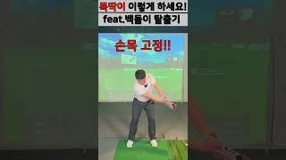 [골프레슨][백돌이 탈출기] 누구나 집에서도 할 수 있는 똑딱이 연습방법/골린이/초보골퍼 #똑딱이 #골린이 #초보골퍼 #Shorts
