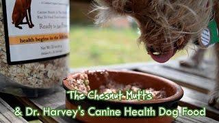 How to Make Dr. Harvey's Canine Health