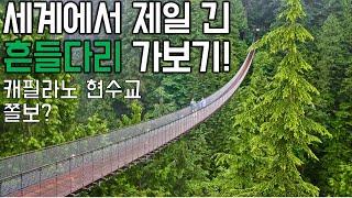 밴쿠버여행 캐필라노 현수교 대자연속으로 필수코스 추천드려요