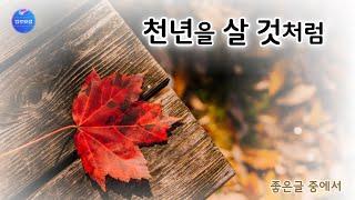 [좋은글] 천년을 살것처럼 /좋은글 중에서 (낭송/블루요정)시낭송