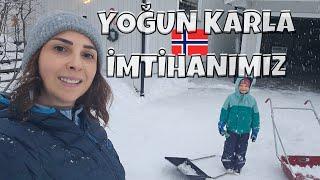 FIRTINADA YOĞUN KARLA İMTİHAN-NORVEÇ'TE SOKAK HAYVANI VAR MI-KUŞLARA YEM VERİLİYOR MU?#snow #winter