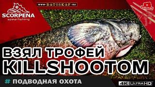 Взял  достойный трофей KILLSHOOTOM  на подводной охоте сплавом