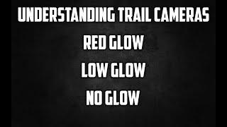 Trail Camera Types:  No Glow vs. Low Glow vs. Red Glow