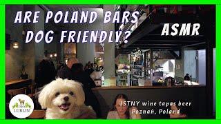 Sound on!  Find out if ISTNY wine tapas beer in  Poznań, Poland was dog friendly.