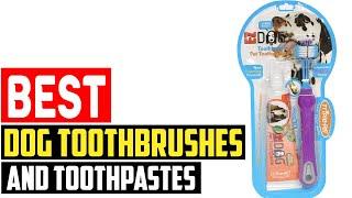  Top 5 Best Dog Toothbrushes and Toothpastes in 2023