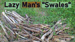 Lazy man's swales | Using logs as swales in my Texas permaculture garden