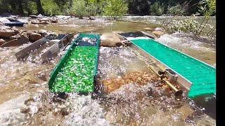 GOLD MINING! GOLD PROSPECTING! SLUICE BOX GOLD  #GOLD #GOLDPROSPECTING #MINING