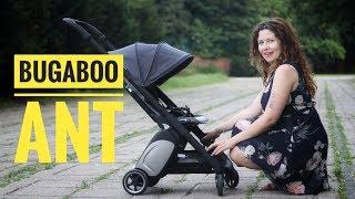 Bugaboo ANT pierwsza polska recenzja | Review, folding