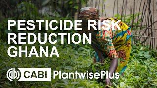 Pesticide risk reduction for safer food