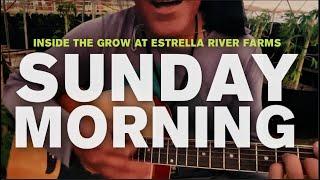 Sunday Morning (Maroon 5 Cover) - Inside The Grow At Estrella River Farms In Paso Robles, California