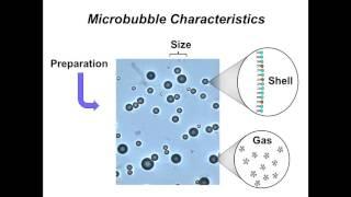 Contrast Echocardiography: The Bubbles and How We Image Them