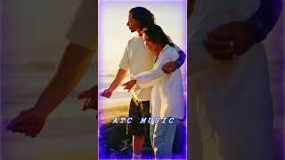Ирина Виднер - Любовь навсегда #shorts  #atcmusic #премьера #музыка