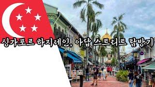 싱가포르 【13】 진짜 중동 느낌나는 아랍 스트리트와 하지 레인 가 보기 / Singapore Arab Street and Haji Lane