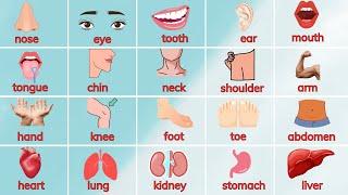 Gọi tên Các bộ phận trên cơ thể bé bằng tiếng Anh - Names of Body Parts | Oh Vui Kids