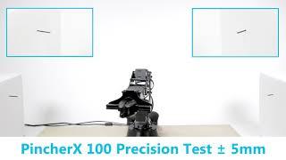 PincherX 100 Precision Test