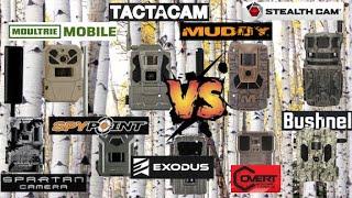 2024 Cell Cam Clash - Moultrie VS. TactaCam VS. SpyPoint VS. Exodus VS. StealthCam VS. Bushnell