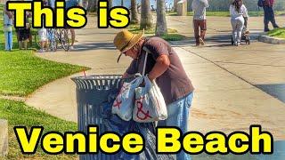 This is Venice Beach 2024