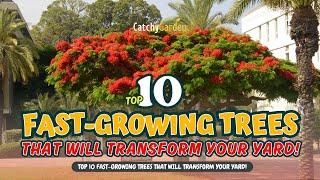 TOP 10 FAST-GROWING TREES That Will TRANSFORM Your Yard! // Gardening Ideas